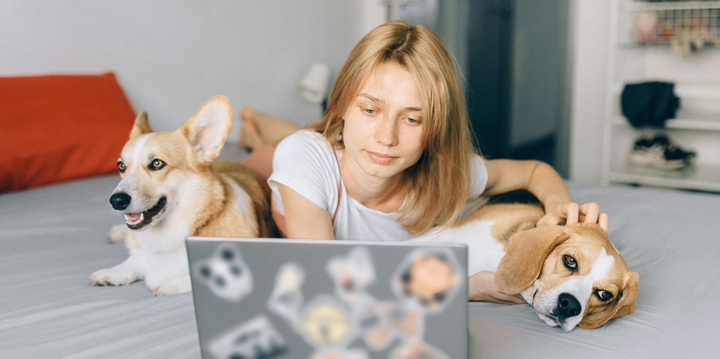 Lady with dogs looking at laptop